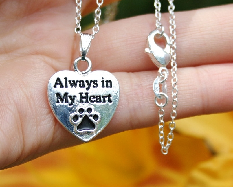 Always in My Heart Necklace Paw Print Pendant Cat Dog Pet Memorial Silver Chain