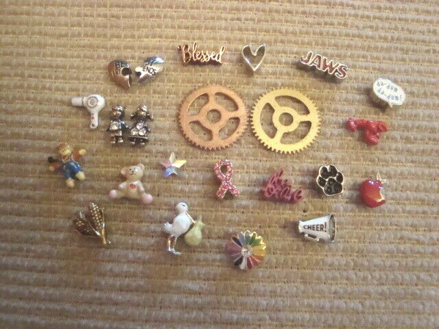 Authentic Origami Owl “Your Choice” of Charms “New” C 18