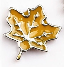 Floating Charms to fit Origami Owl #3 Buy 4 Get 1 Free (EMAIL FOR FREE CHARM!!!)