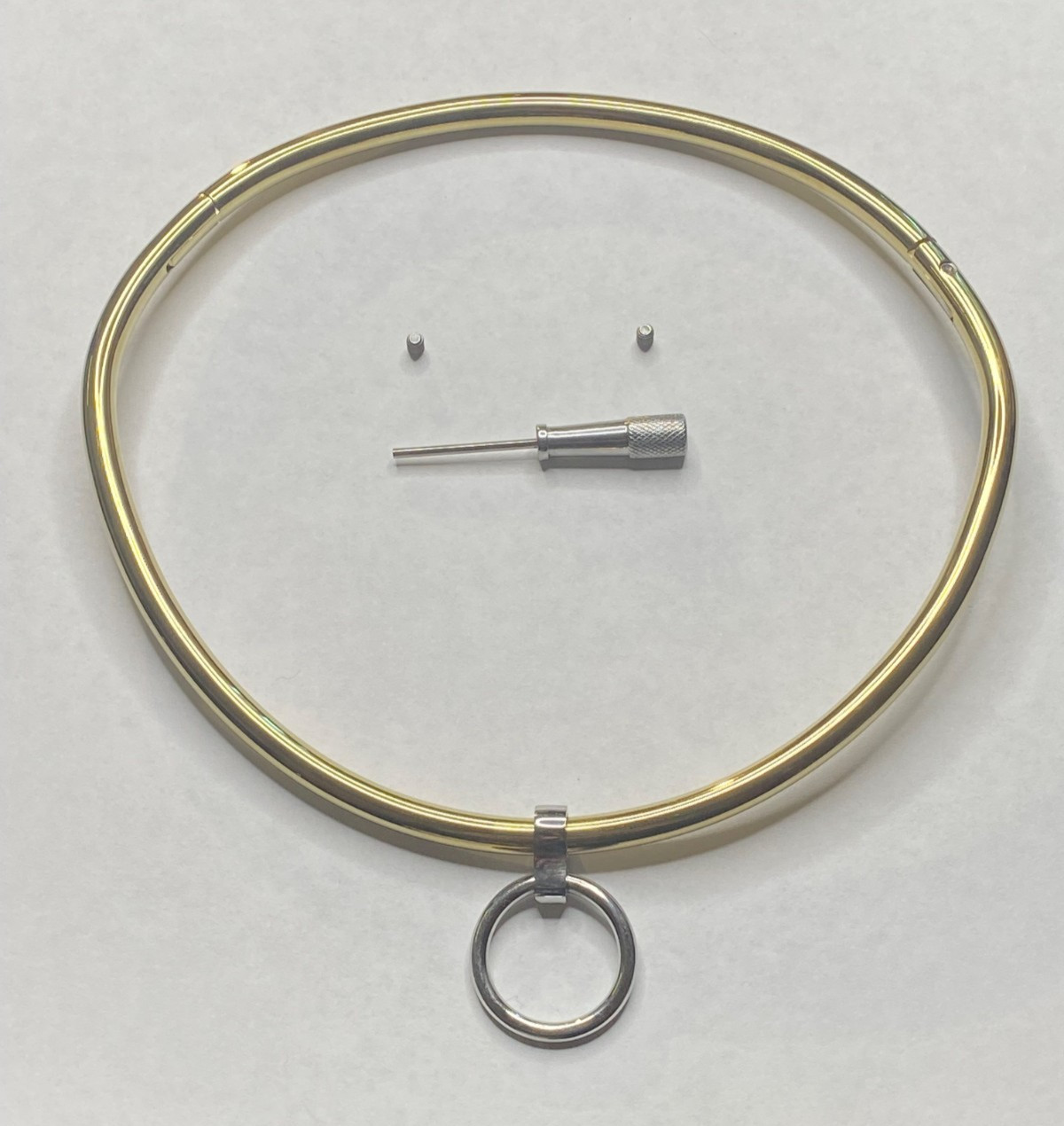 Gold Stainless Steel Locking Curved Eternity Collar with O-Ring (6mm)
