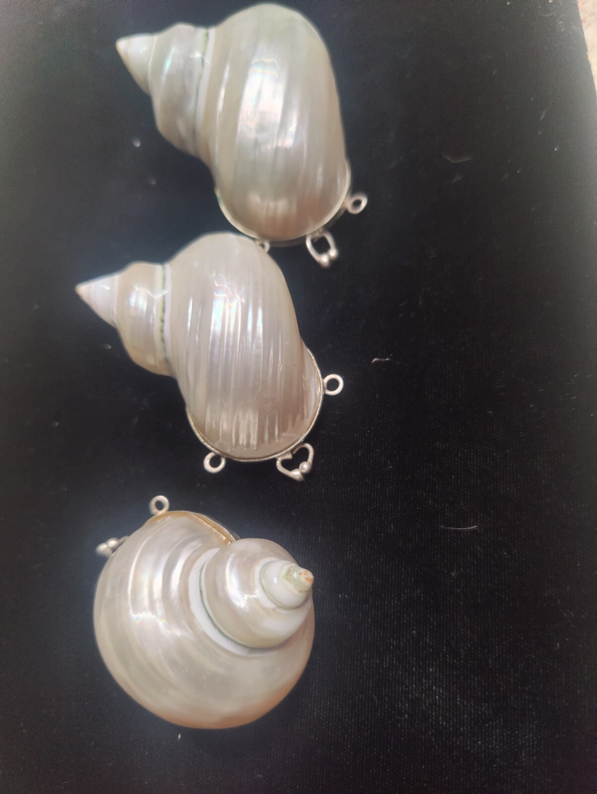 Natural 🐚 Sea Shell Locket With Silver Latch