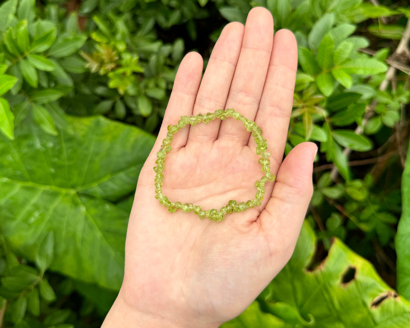 Peridot Chip Bracelet, Stretch: Raw Natural Peridot Crystals (US SELLER)