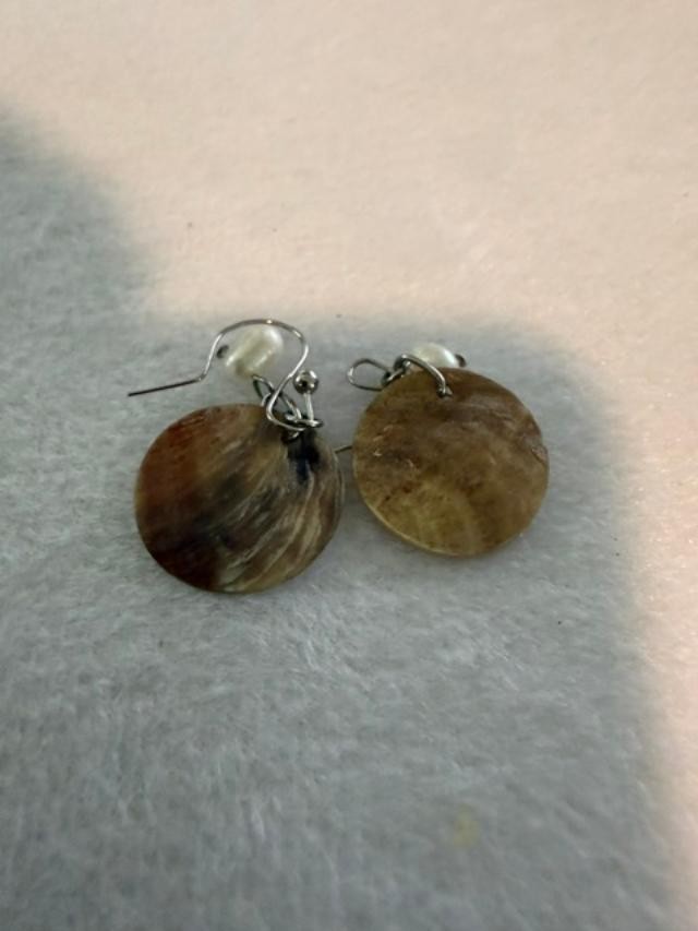 unbranded natural shell disc dangle earrings