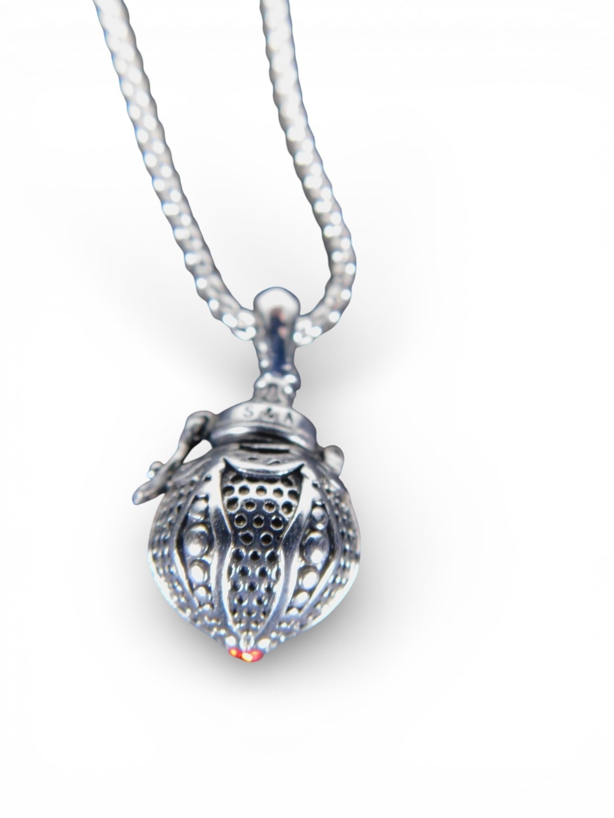 Poison Box Necklace Victorian Prayer Locket Pendant Secret Message Locket
