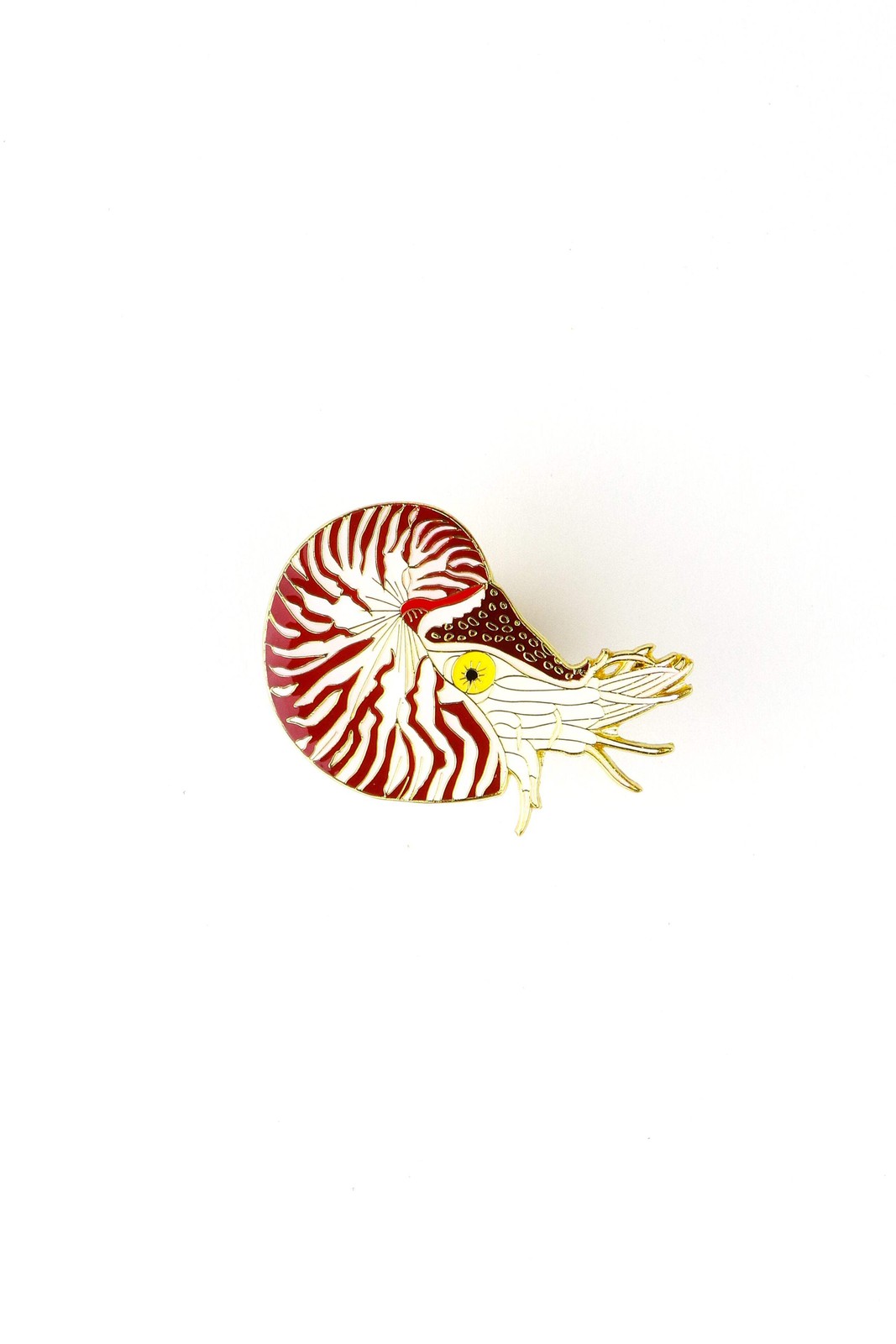 Chambered Nautilus Enamel Pin (Nautilus pompilius) Metal Fashion Science Lapel A
