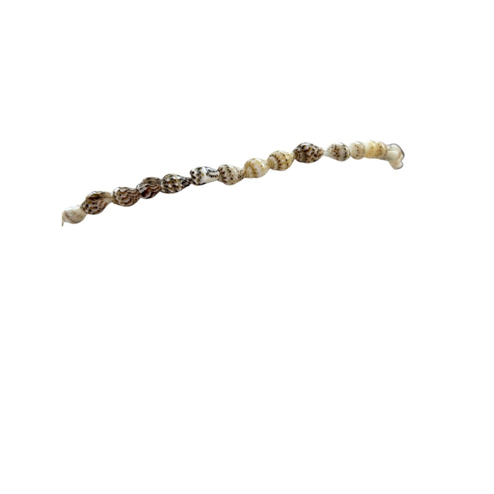 Shell Necklace Beach Overhead Seashells Strand String 34 Inch