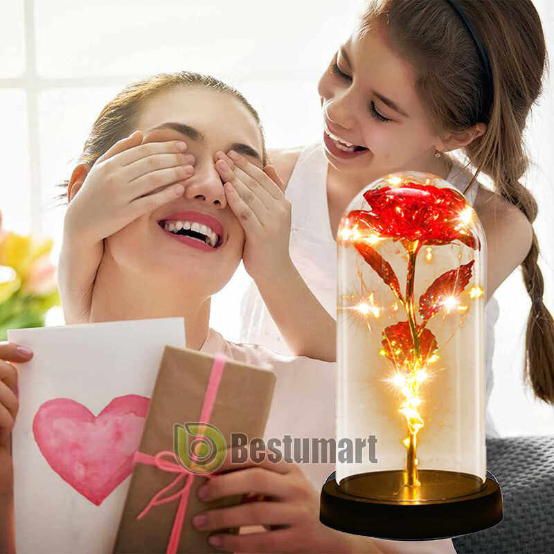 Gifts for Wife Women Wife Gifts for Her Christmas Girlfriend Gifts Birthday Gift