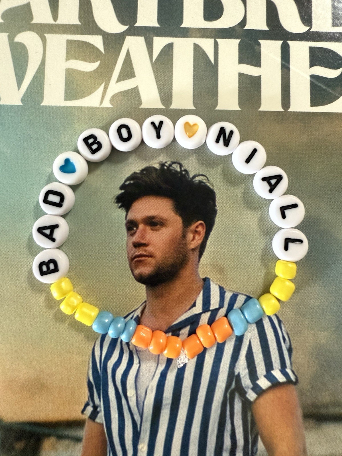 Niall Horan home bracelets 6 count