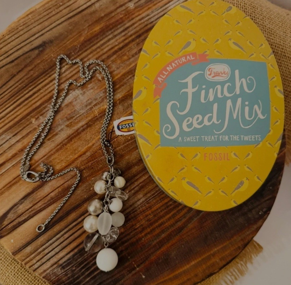 New In Finch Seed Tin Box, FOSSIL Stainless Steel and Glass Bead NECKLACE
