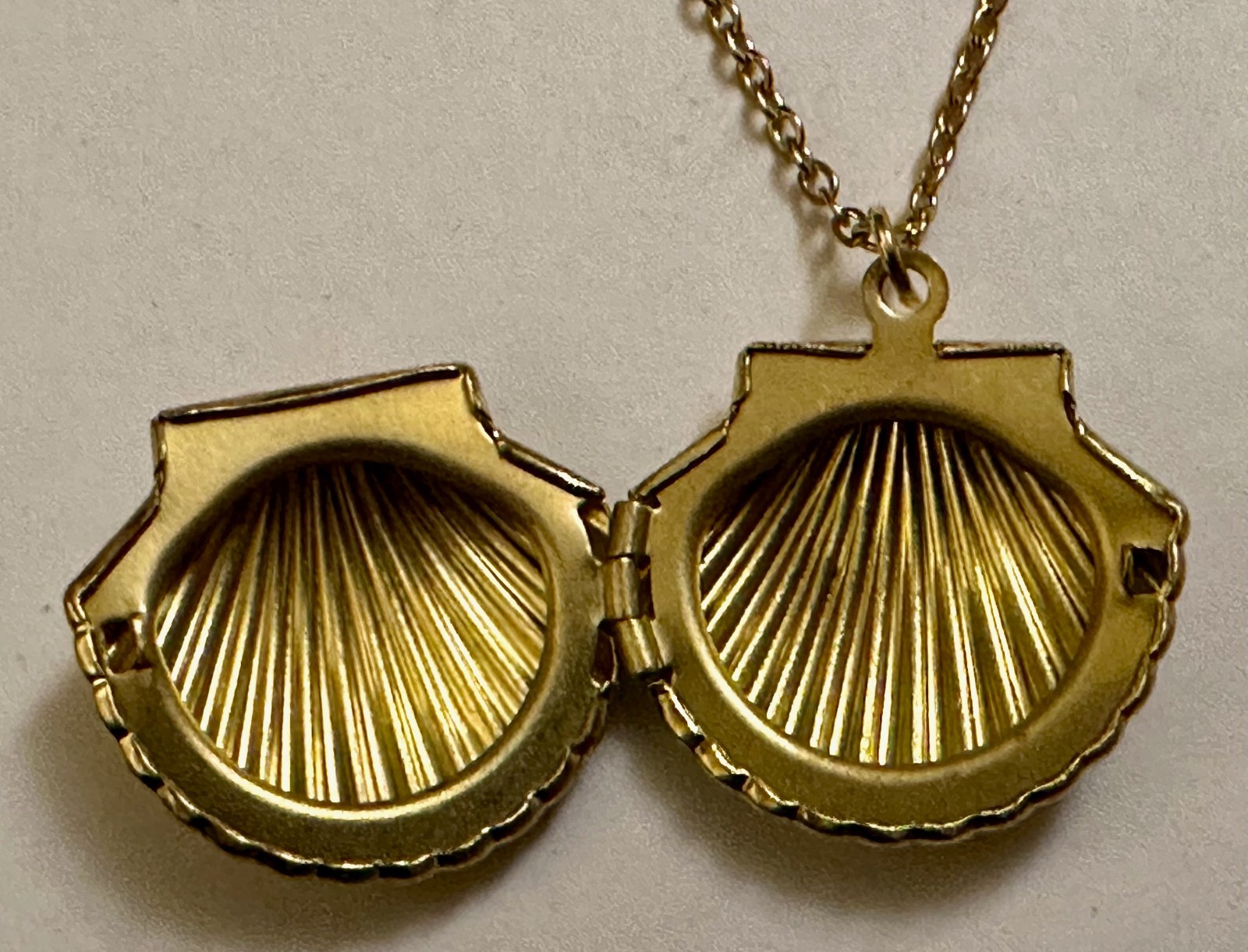 LOCKET SEA SHELL SEASHELL CLAMSHELL GOLD TONE METAL PENDANT 1″ NECKLACE 20″ GP