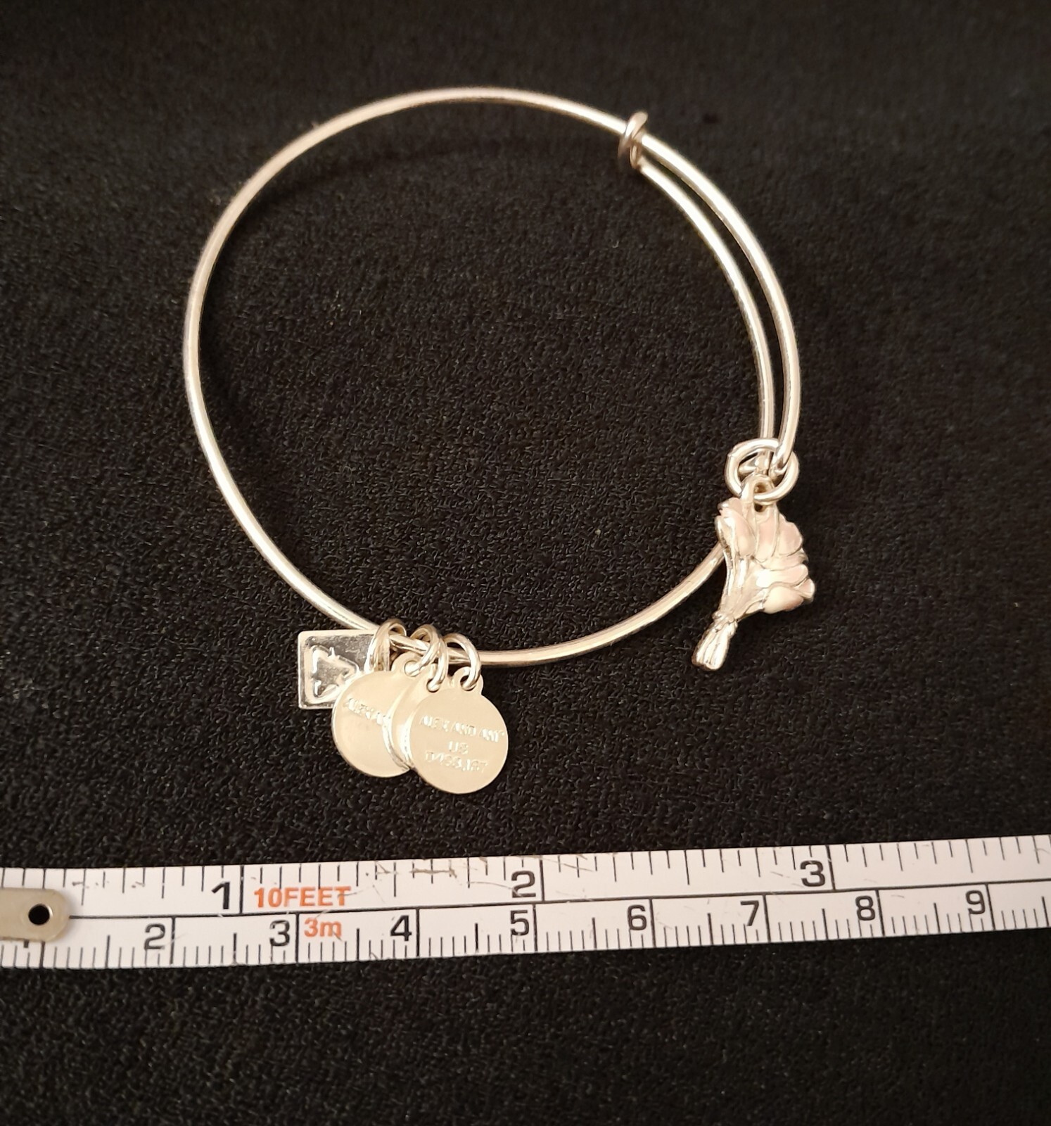 Alex and Ani Pink tulips Charity by Design Charm Bangle Bracelet