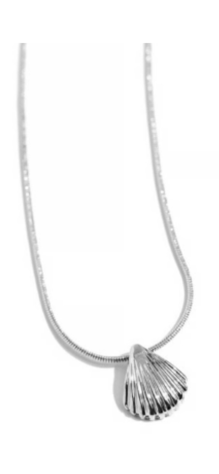 Paparazzi Seashell Simplicity – Silver Seashell – Necklace and Earrings