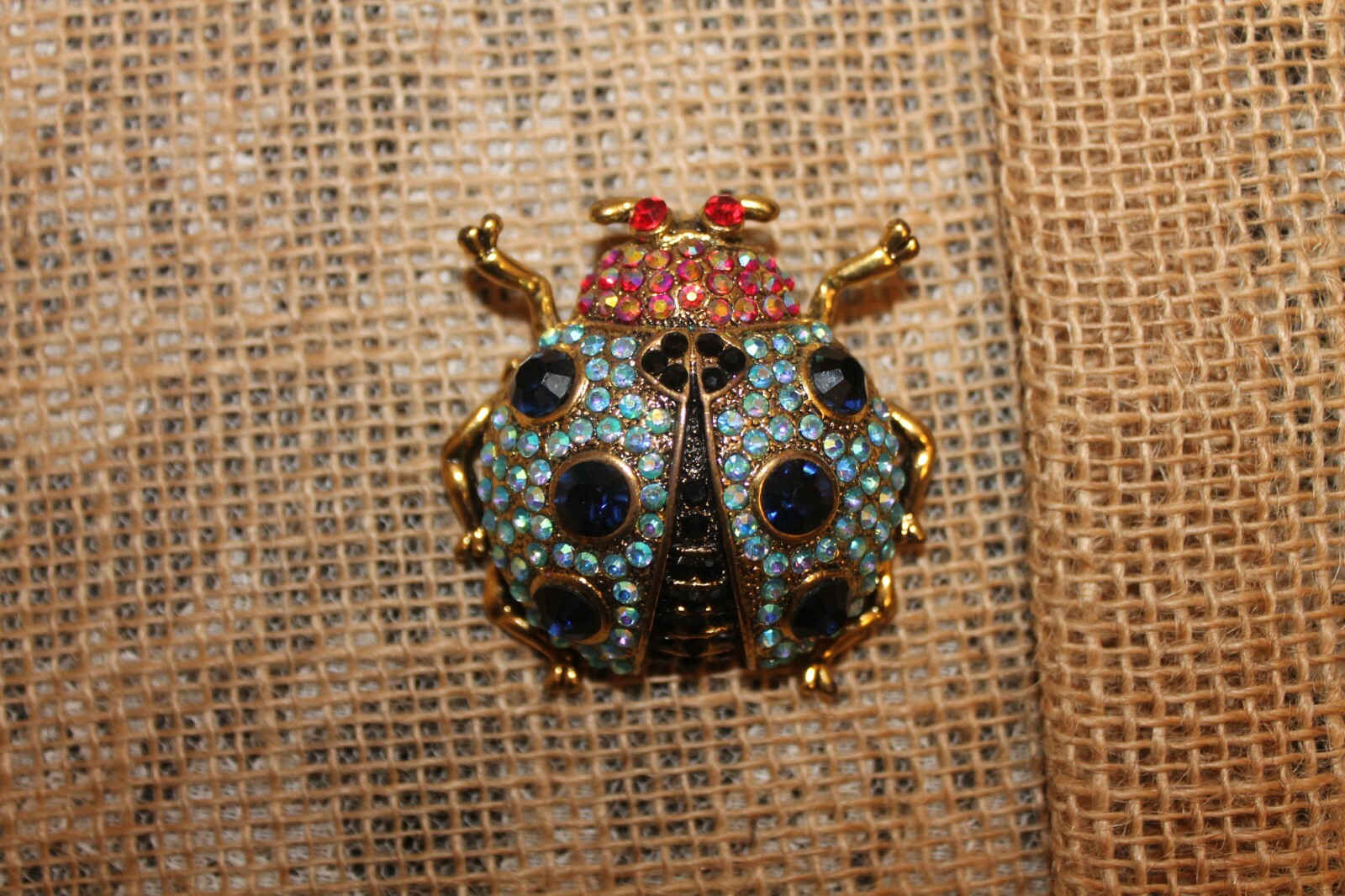 Ladybug Decorative Pin
