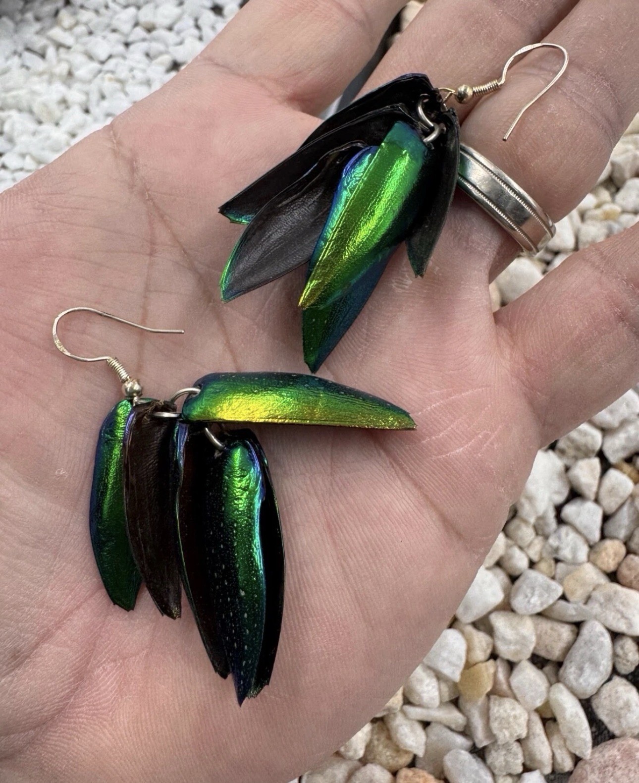 Emerald Green Jewel Beetle Wing Earrings – Hypoallergenic Hook Jewelry for Women