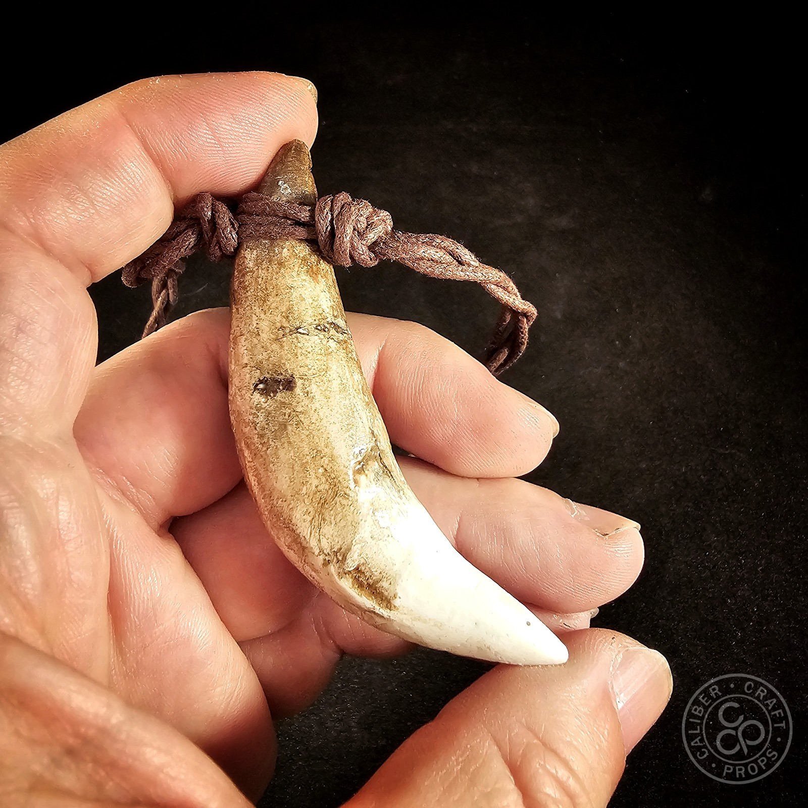 Prehistoric Wolf Fang Necklace Pendant Cast Resin Over 3″ long! Spartan Leonidas