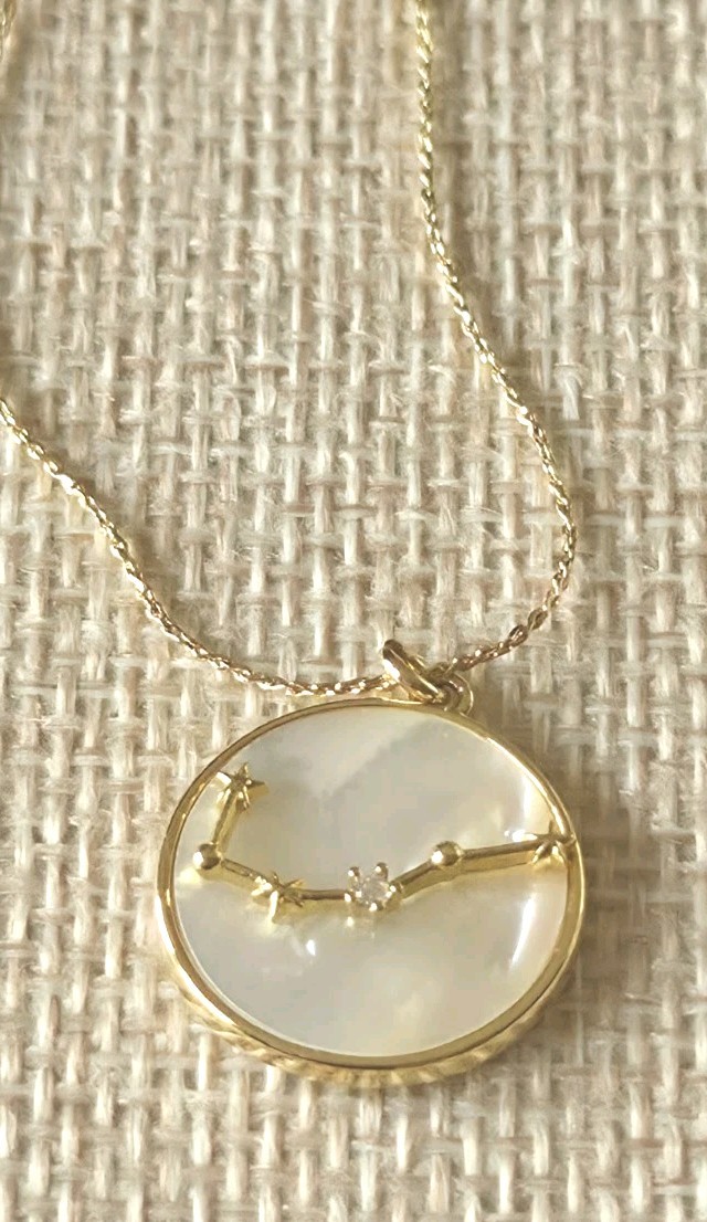 NWT “Gemini” necklace by Anthropology. Shiny, gold tone chain.