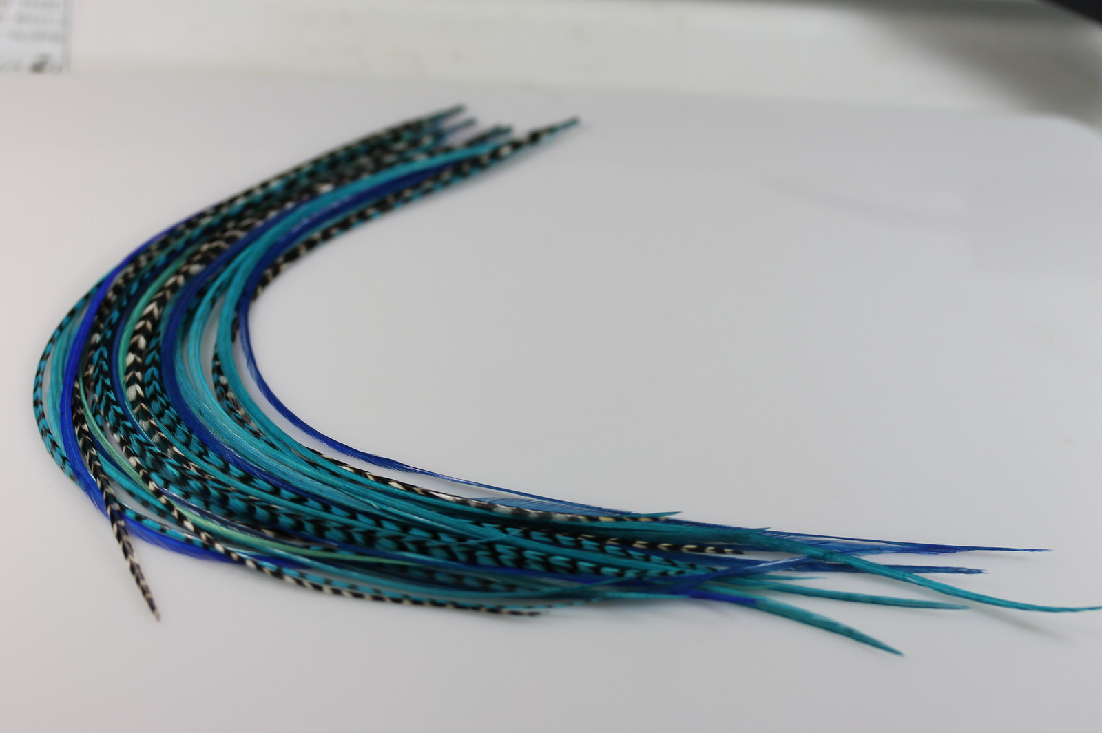 Five Feathers 7-10 Inch long Beautiful Ocean Blue Feathers Bonded At the Tip for