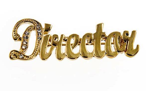DIRECTOR Rhinestone Goldstone Pin-Great for Administrators-1 3/4 by 1/2 Inches