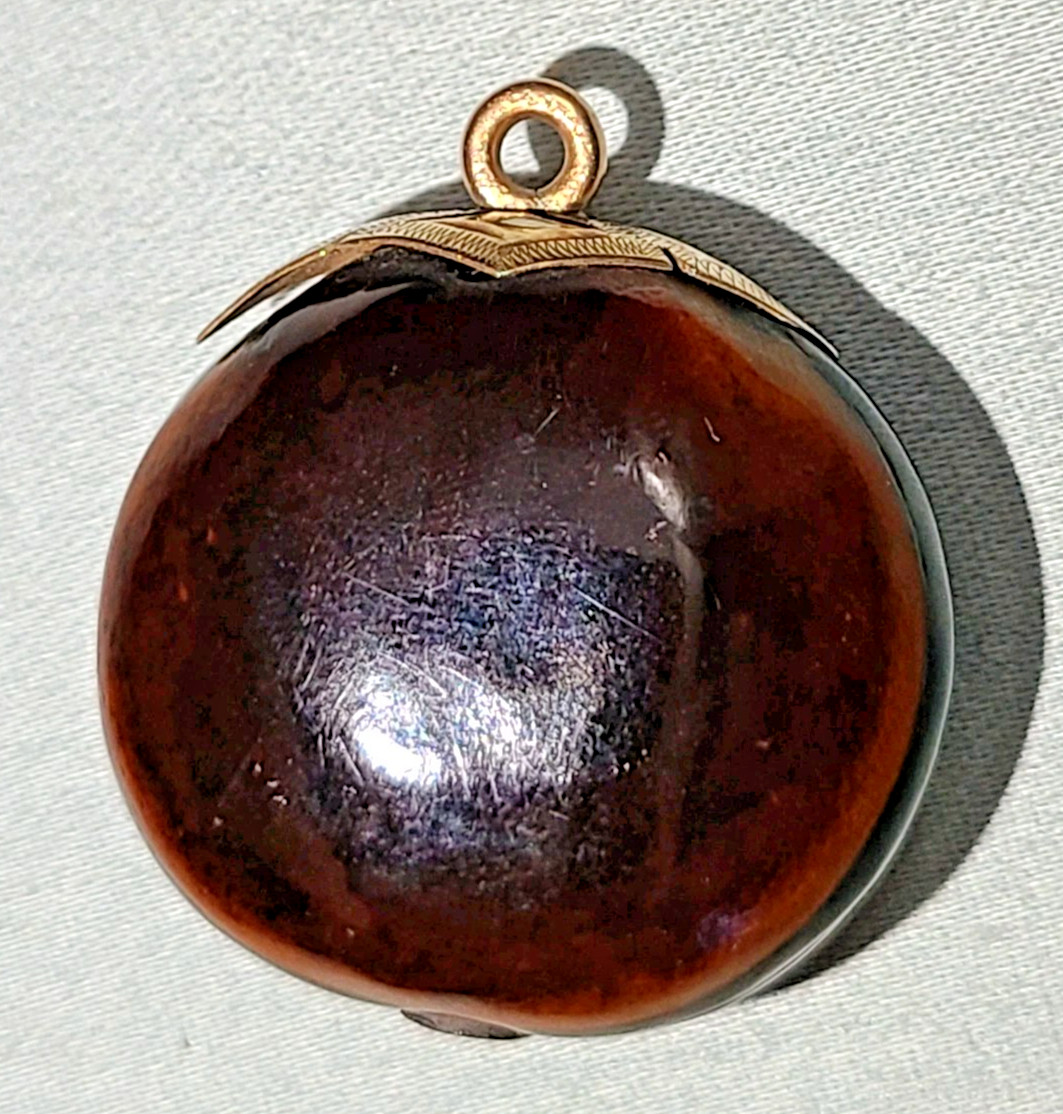 Antique Victorian polished mucuna / sea bean pendant, gold tone bail