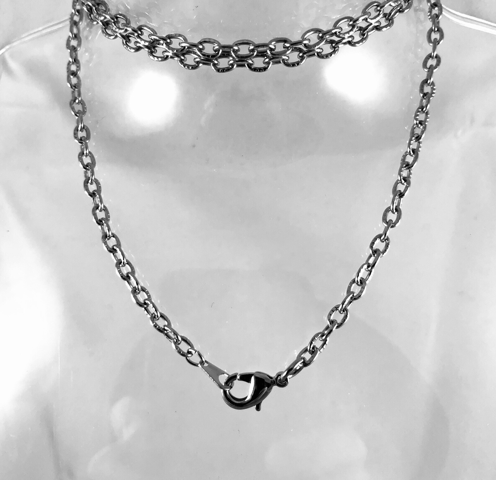 Lion Locket Necklace Antique Silver pltd Photos Keepsakes Pill Stash Box Pendant
