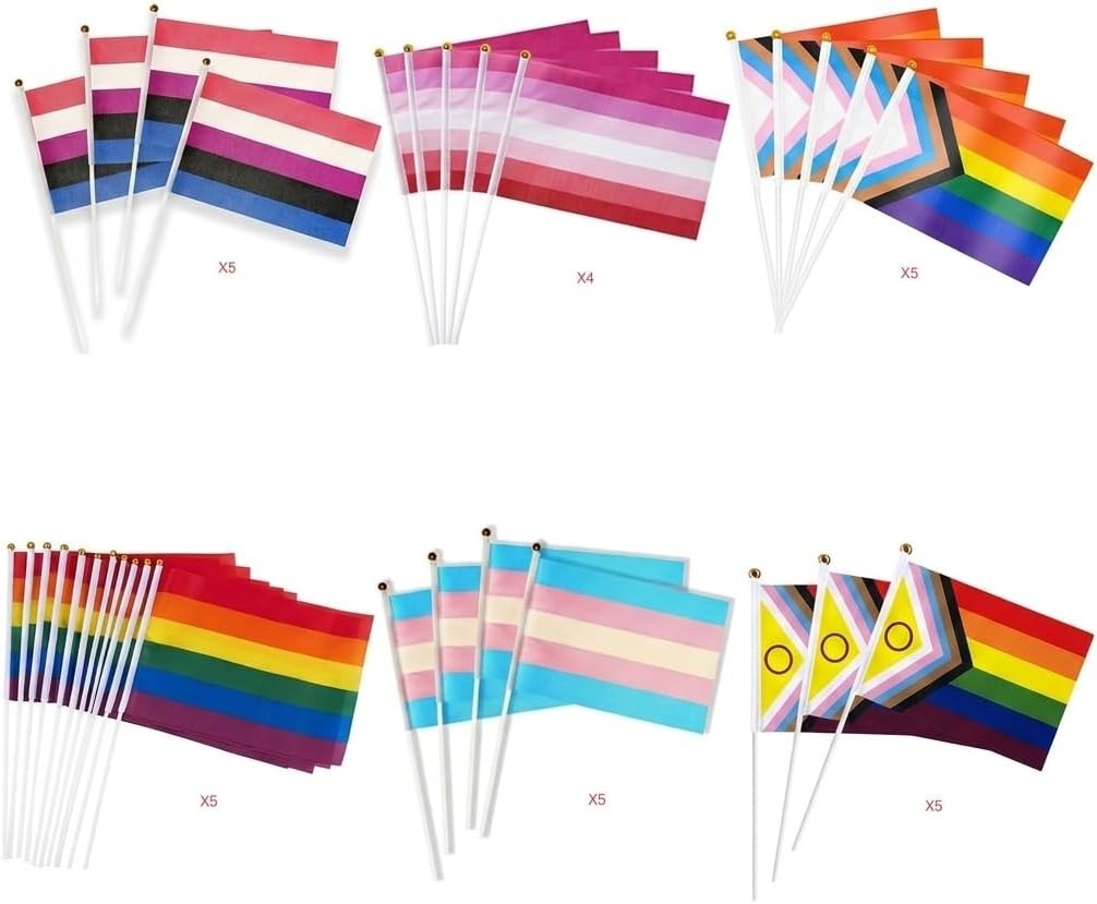 29 Pcs Mixed LGBT Pride Flags with 9 Decorative Bracelet Charms