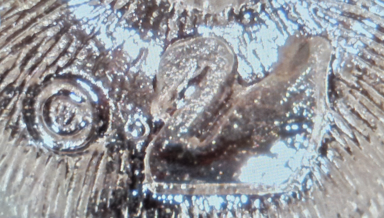 Swarovski Crystal Brave Heart American Flag Patriotic Commemorative Tack Pin