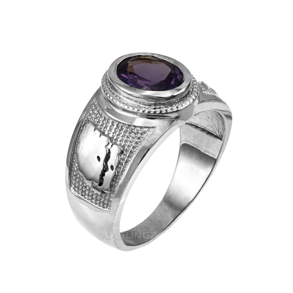 Sterling Silver Gemini Zodiac Sign June Birthstone Violet CZ Ring