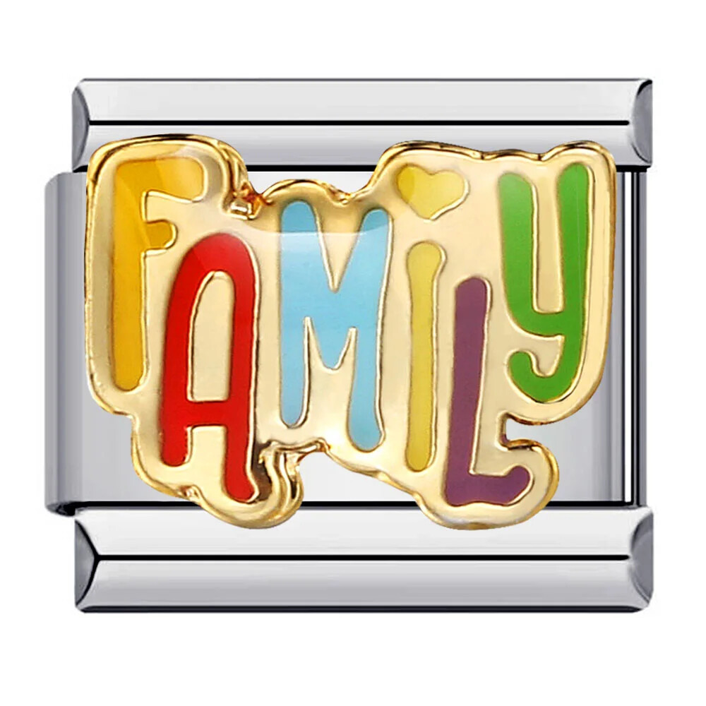 Fashion LOVE Family Glaze Italian Modular Fit 9mm Stainless Steel Bracelet