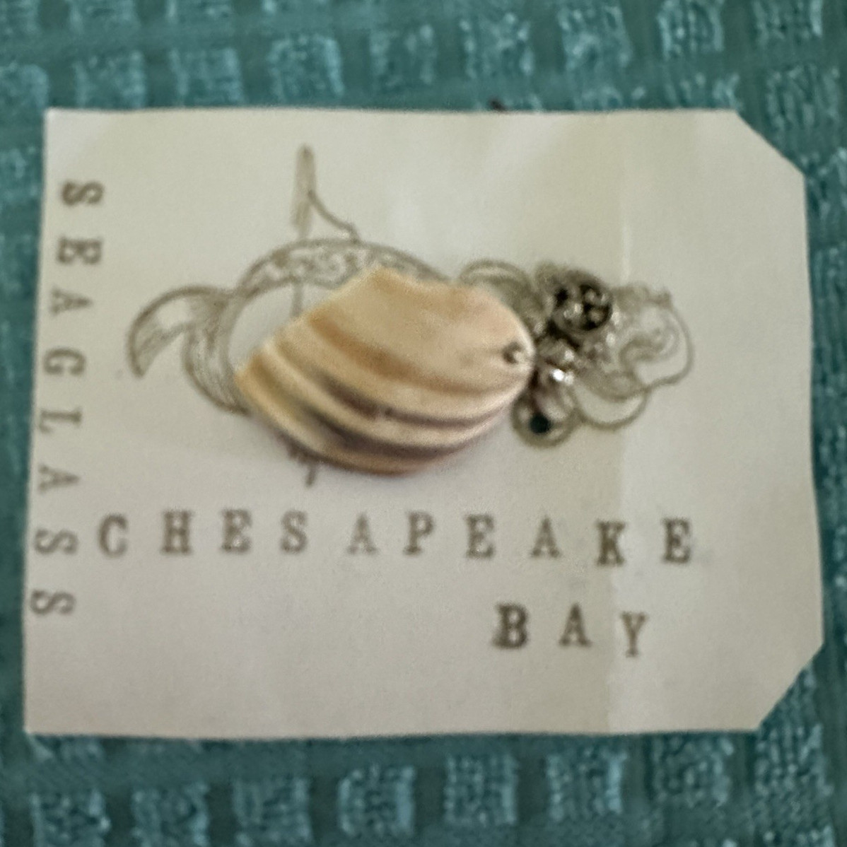 Shell Pendant Necklace Silver-Tone Charm Snake Chain Hook Closure Sea Theme