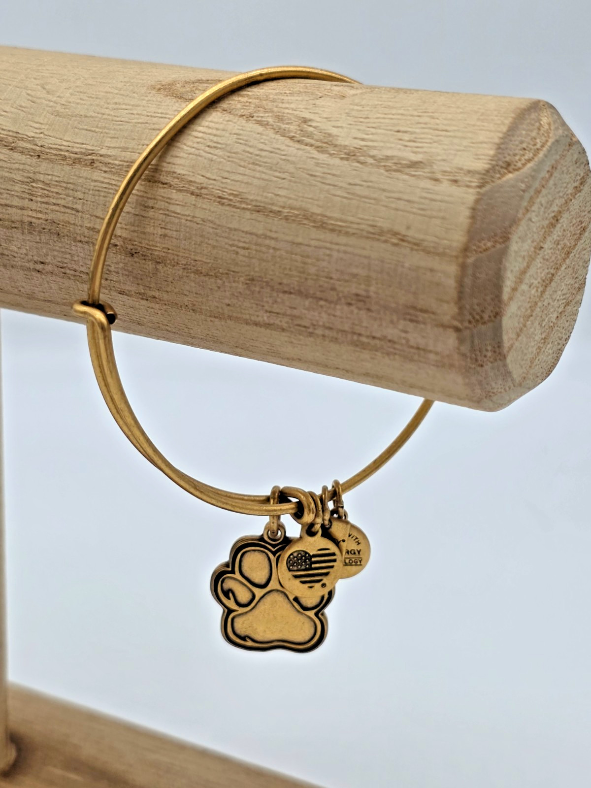 Alex and Ani PRINTS OF LOVE Charity by Design Rafaelian Gold Charm Bangle
