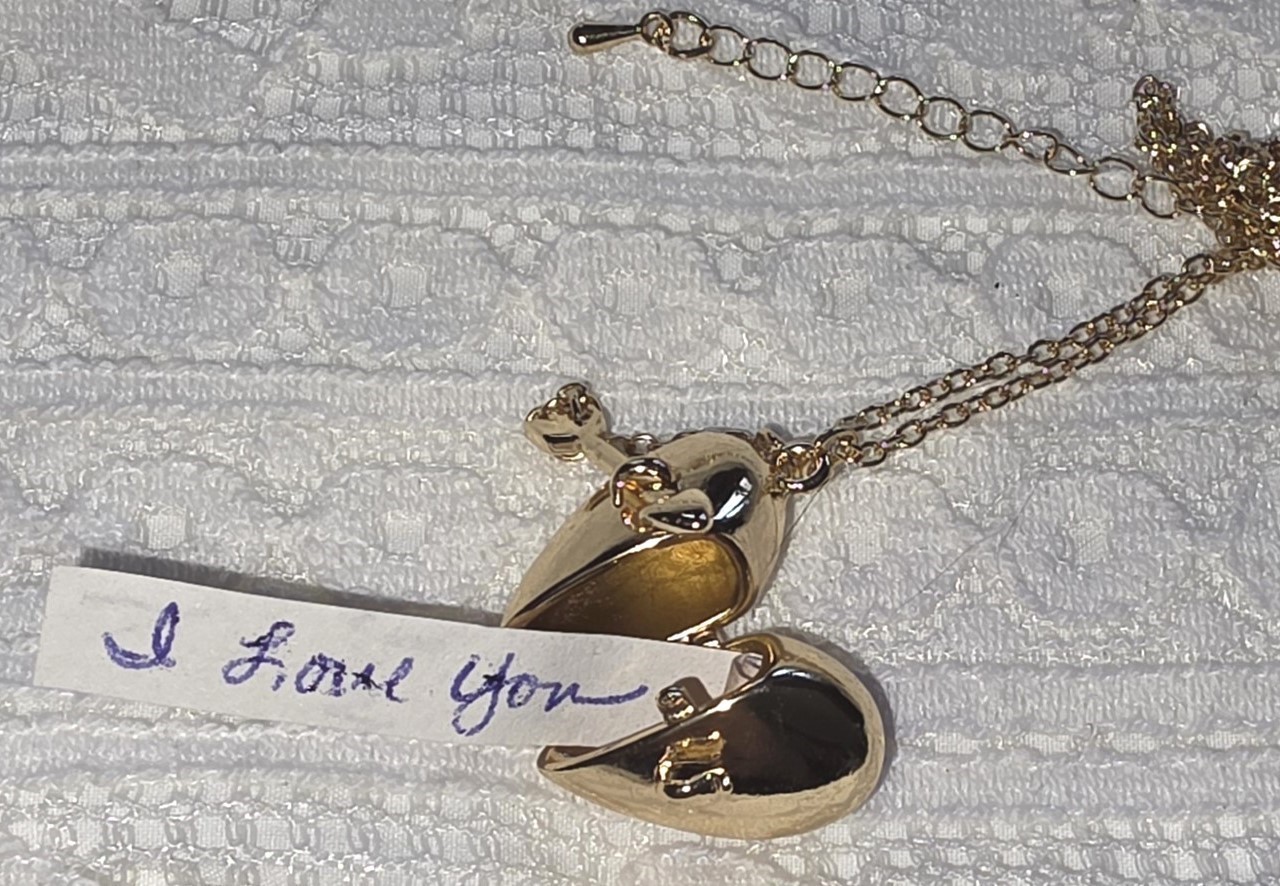 Victorian Trading Hidden Heart Secret Message Locket Arrow Closure Necklace 31C