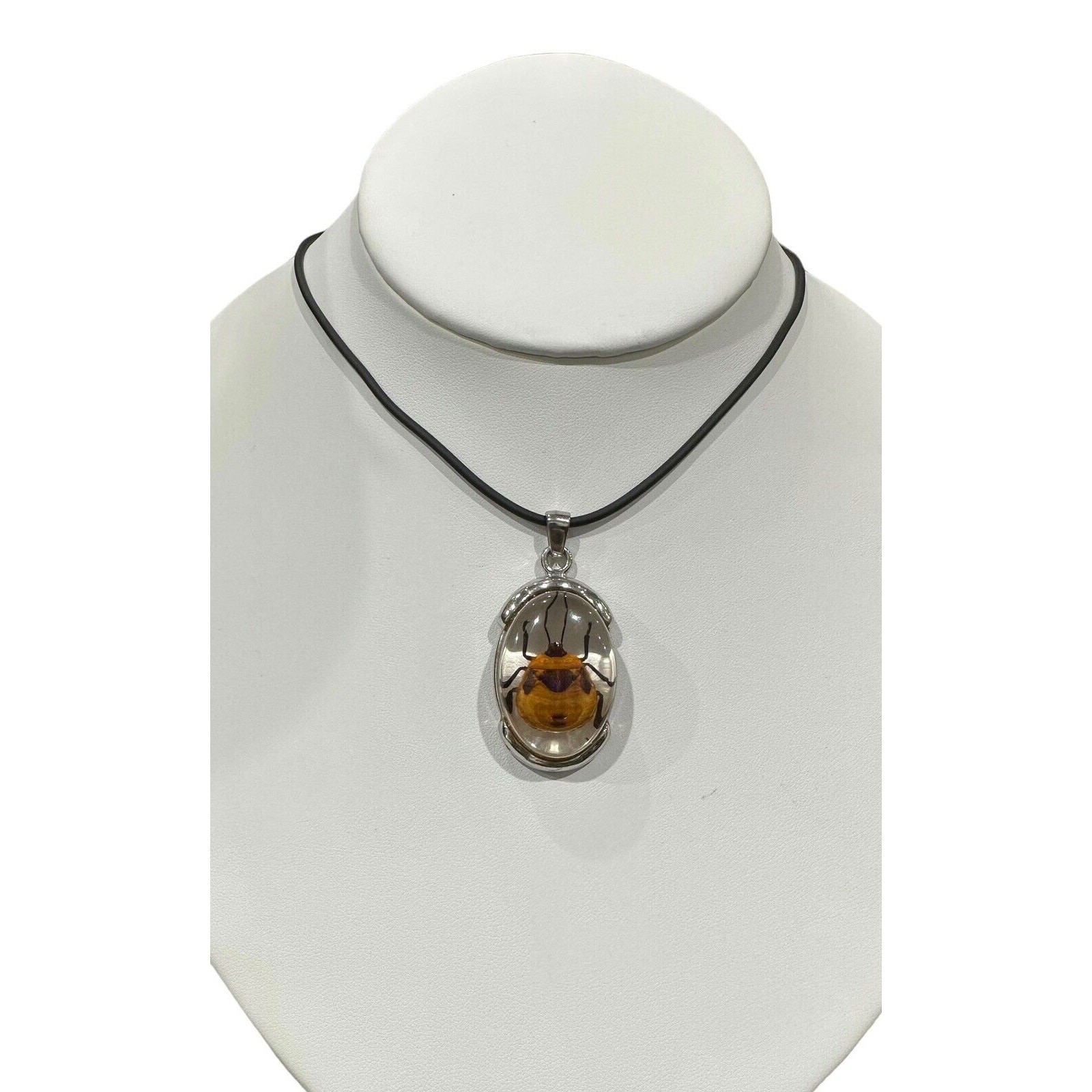 Real Beetle in Lucite With Silver Metal Findings Fancy Necklace Black Cord EUC