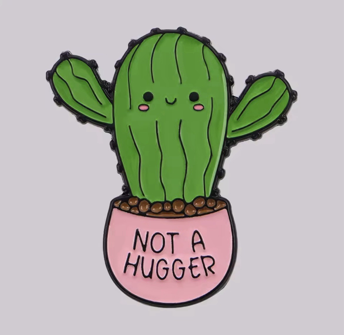 Cactus Style 1pc Pin With Rubber Back Cactus Not A Hugger Fun Pin FREE SHIPPING