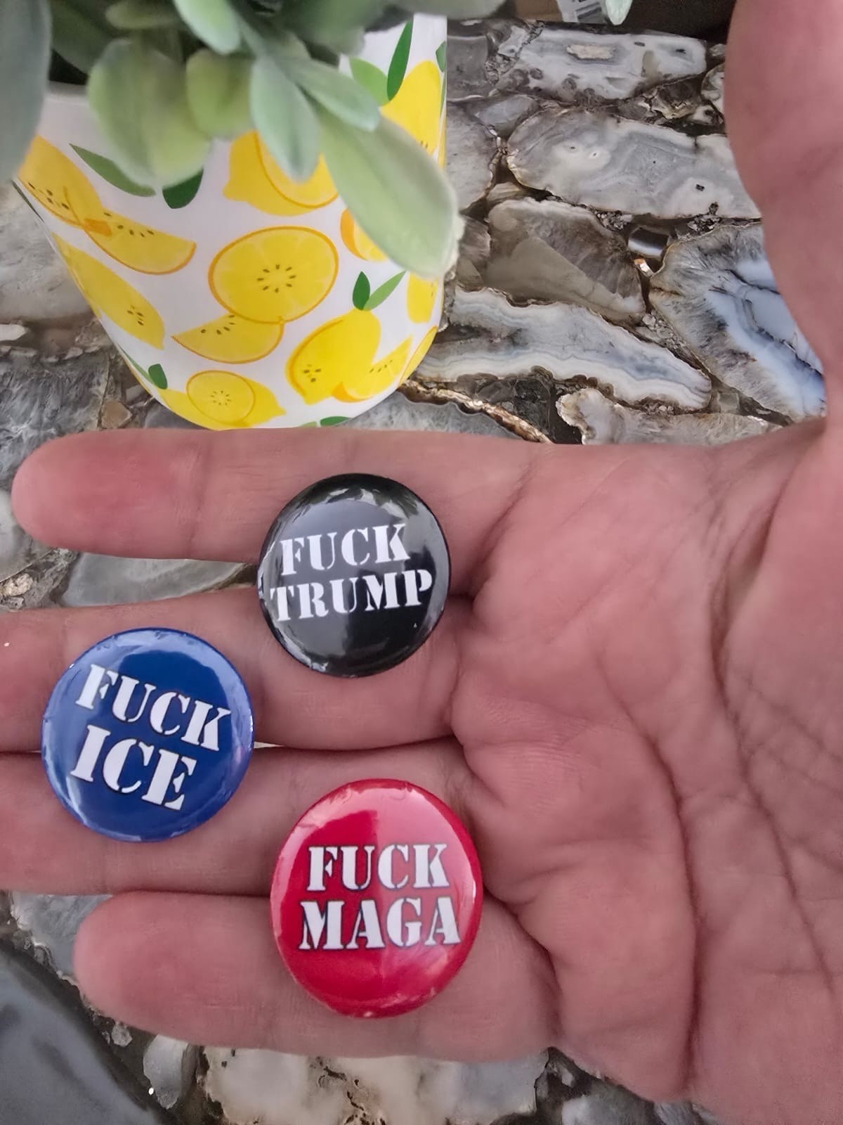 Anti- Trump Fck Donald Trump, Fck Ice, Fck Maga, FDT, button pin 3 set