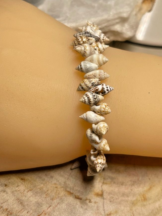 Surfer Natural Spiral Shell Unisex Stretch Beaded Bracelet Conch 7″