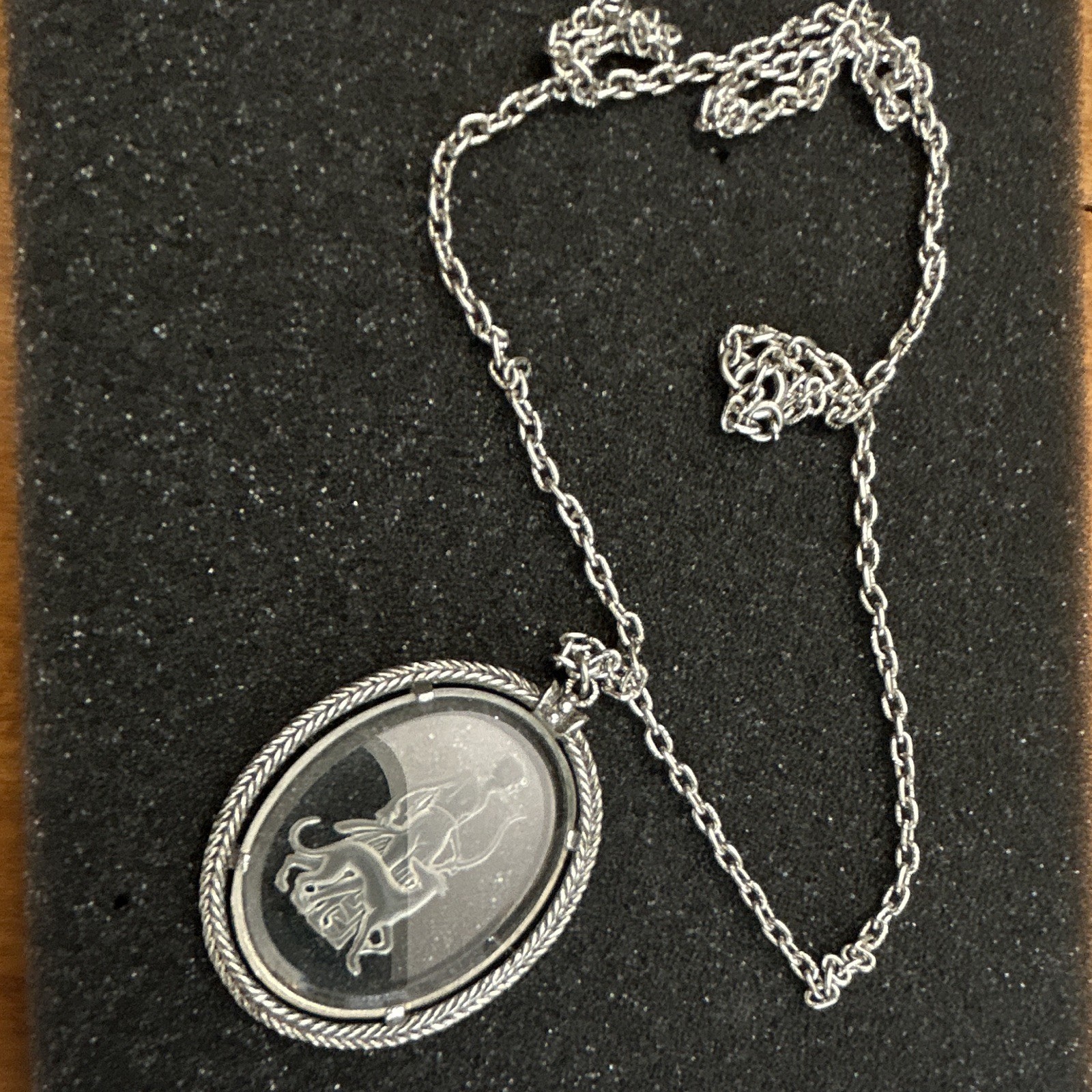 Silver Tone Rope Chain Necklace Oval Zodiac Charm Pendant, Metal, No Stone