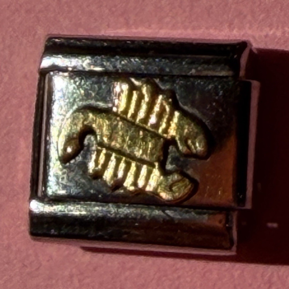 Nomination Italian Modular Charm Link Scorpio Stainless Steel Silver Gold