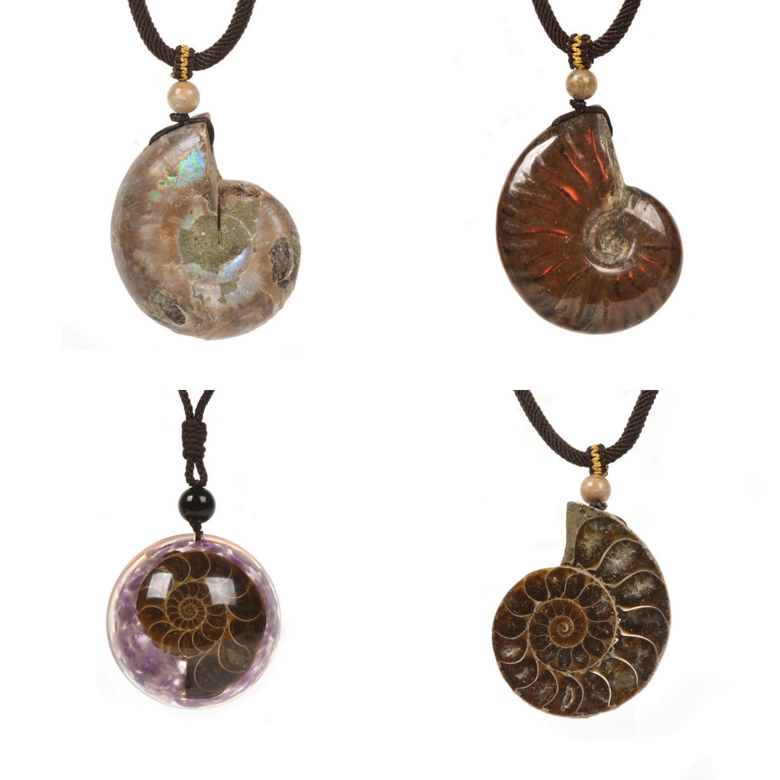 Natural Ammonite Fossil Healing Reiki Necklace 16 to 26 inch