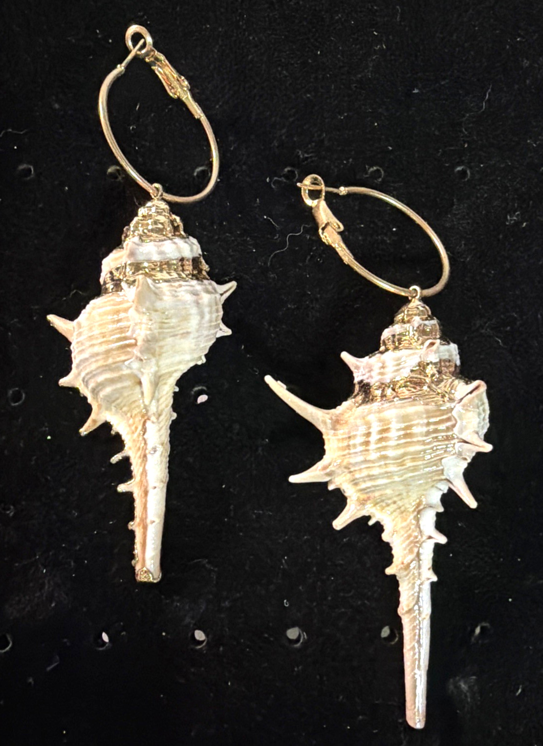 Conch Shell Hoop Dangle Gold Tone Earrings Pierced 3.5 In. Gold Accent