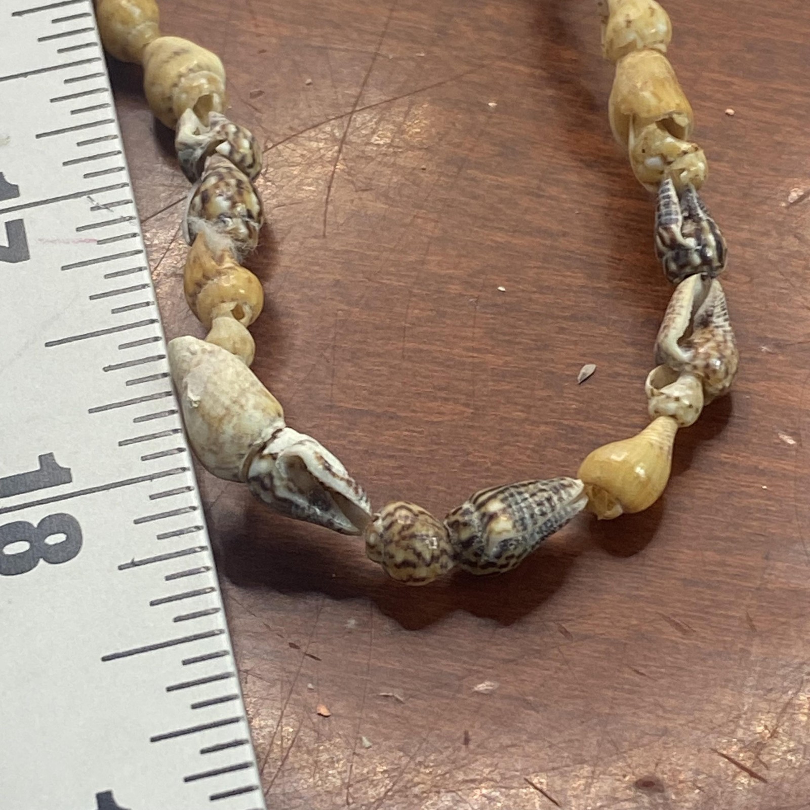 Beige Shell Beaded Necklace 36 In Long Strand Sea Life Beach Womens Jewelry