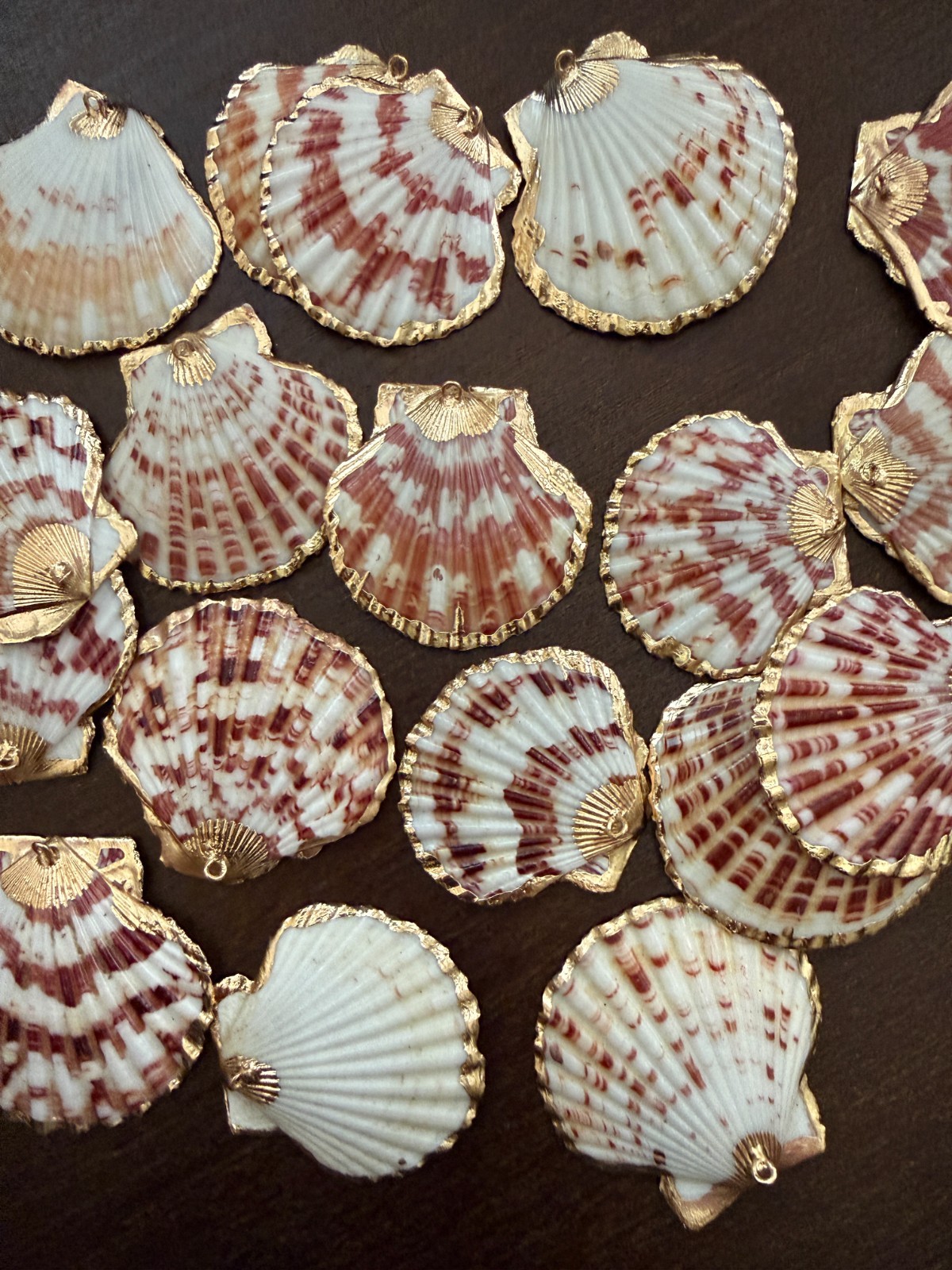 3PC Natural Scallop Shell Pendant, Gold Edge, Deep Sea Shell, Shell Necklace