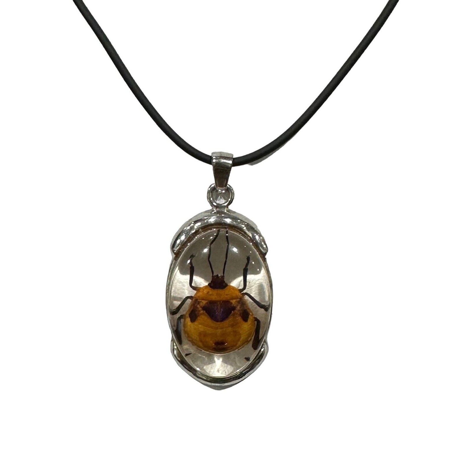 Real Beetle in Lucite With Silver Metal Findings Fancy Necklace Black Cord EUC