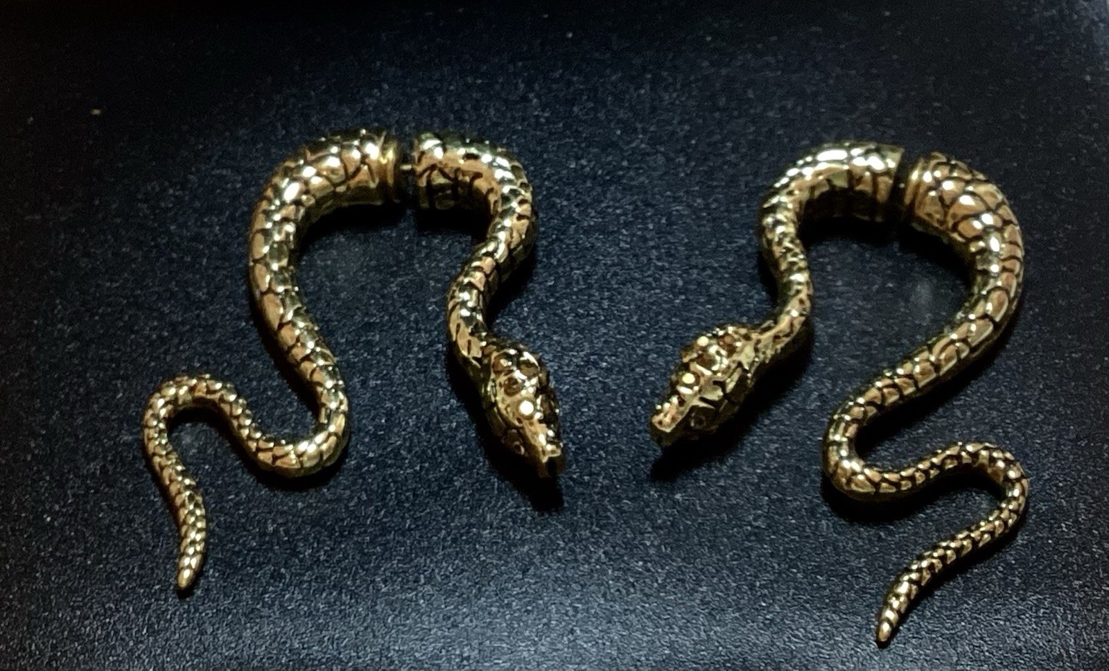 Simply Vera Wang Front To Back Snake Pierced Earrings New! Gothic Elegant!