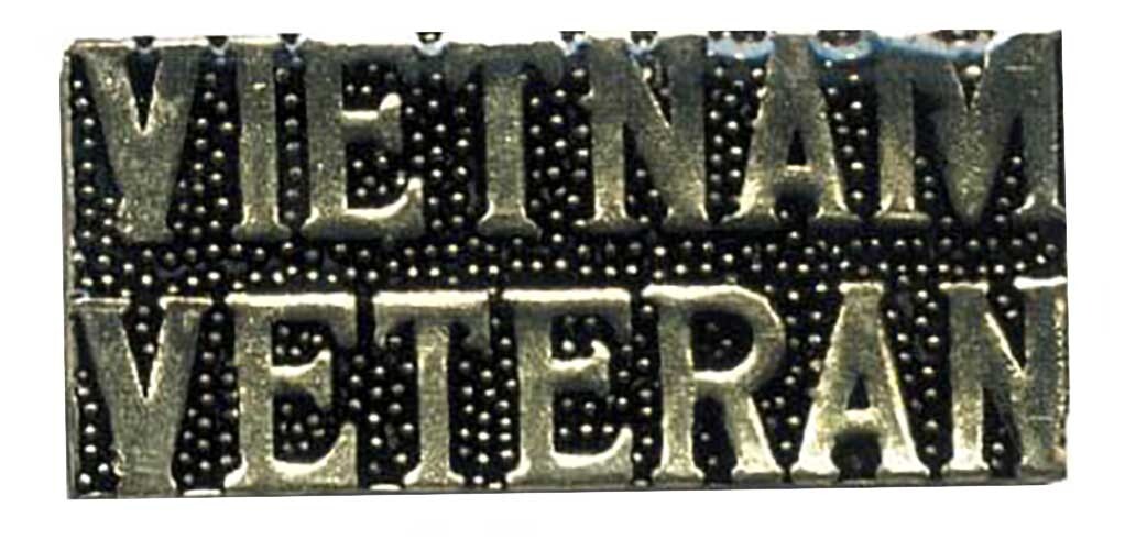 Vietnam Veteran (Words) Bike Motorcycle Hat Cap Lapel Pin HP4113