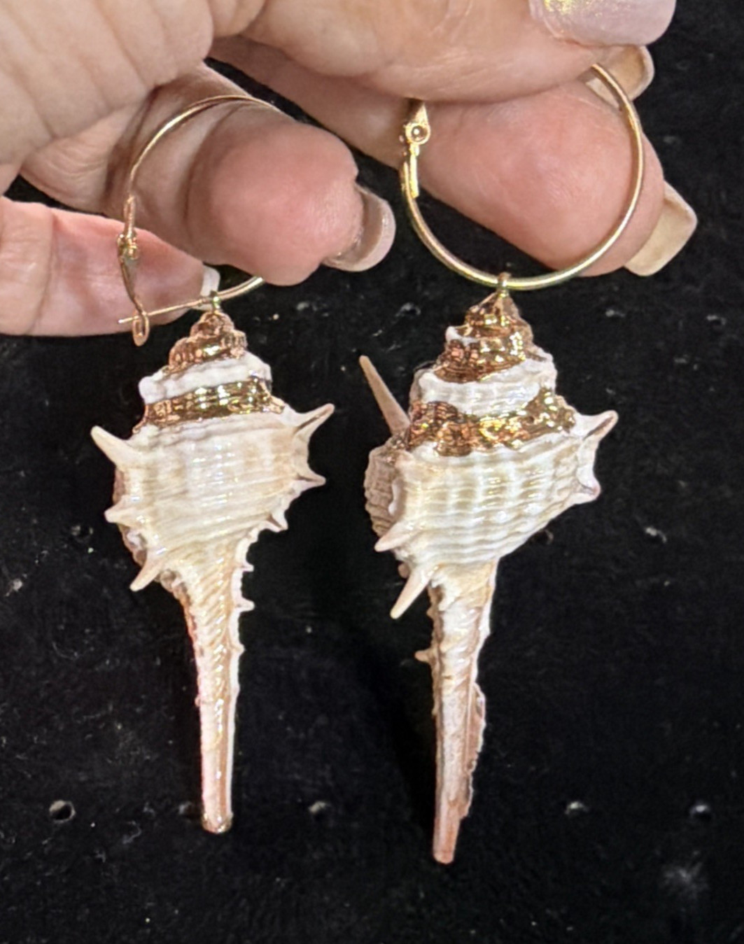 Conch Shell Hoop Dangle Gold Tone Earrings Pierced 3.5 In. Gold Accent