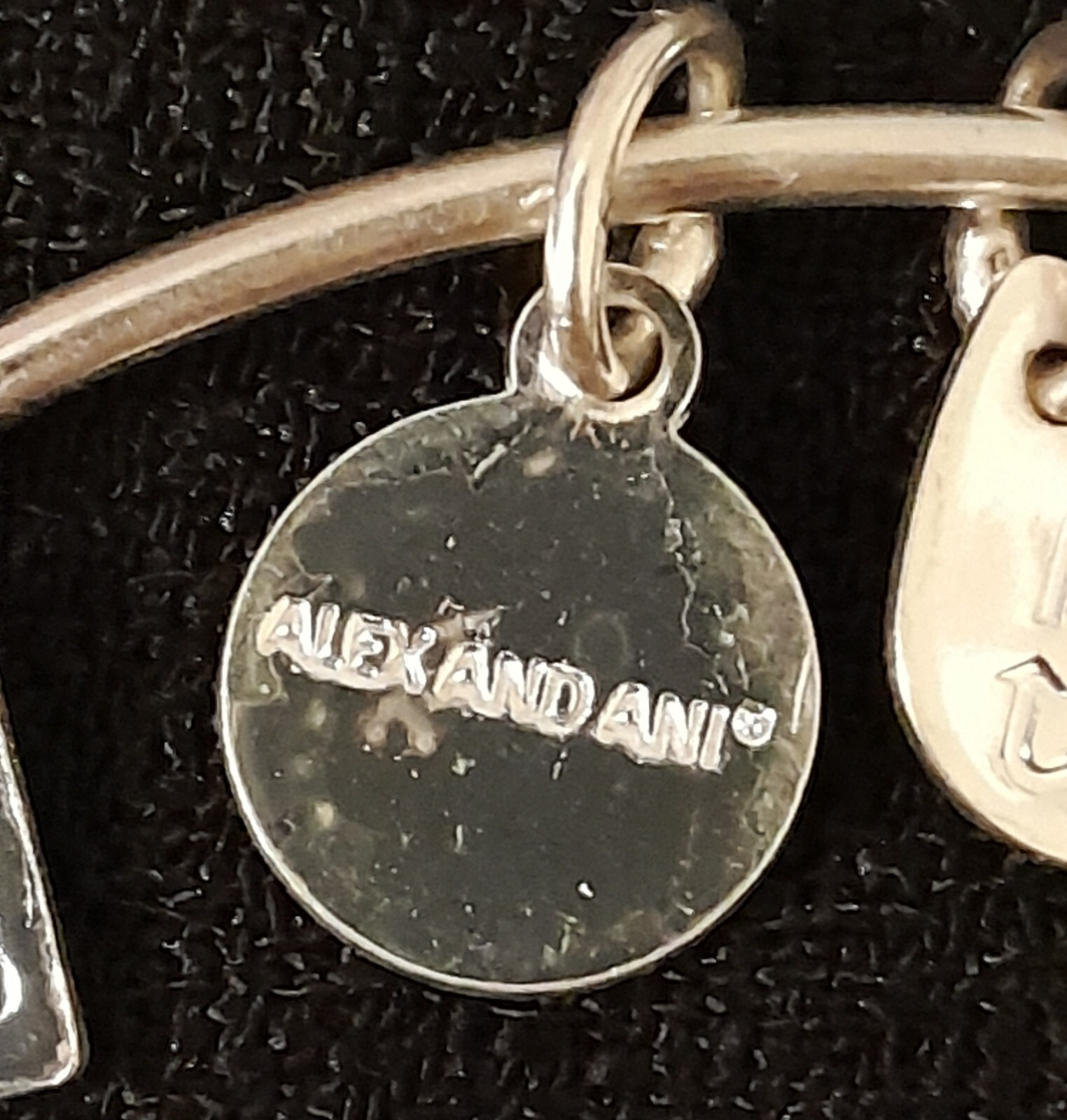 Alex and Ani Pink tulips Charity by Design Charm Bangle Bracelet