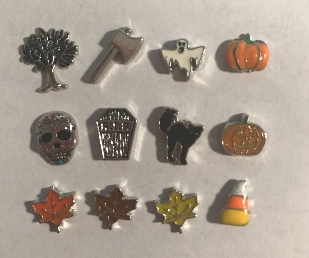 Floating Charms to fit Origami Owl #3 Buy 4 Get 1 Free (EMAIL FOR FREE CHARM!!!)