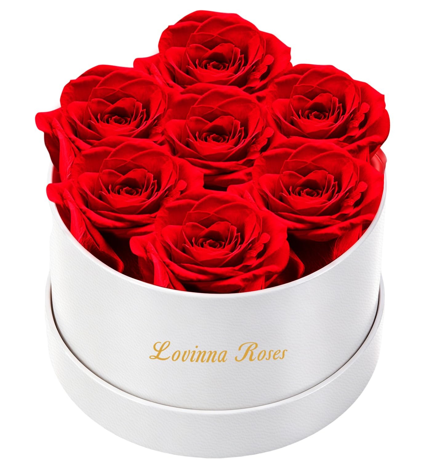Red 7 Roses Preserved Forever Rose Gift for Mom Mothers Day Present