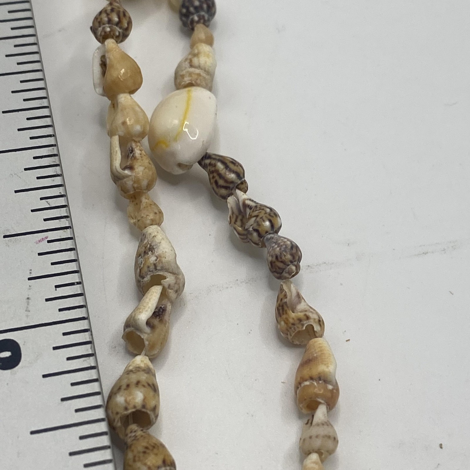 Beige Shell Beaded Necklace 36 In Long Strand Sea Life Beach Womens Jewelry