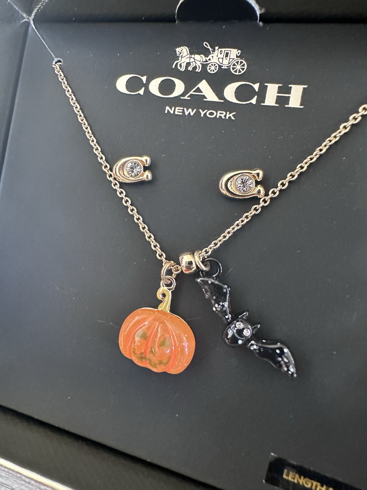 NWT Coach Halloween Jack-o’-lantern Pumpkin & Bat Earrings & Necklace Set CZ006